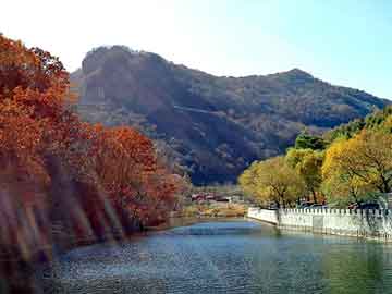 新澳门二四六天天彩，吉利远景论坛